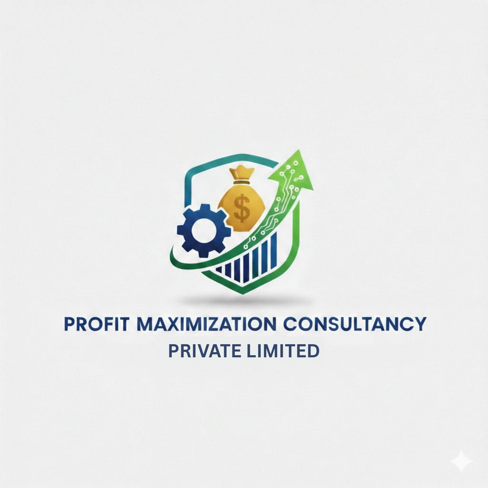 Profit Maximization Consultancy